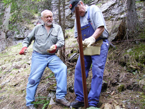 Zaunauflegen zur Weidetrennung zum Schutzwald.