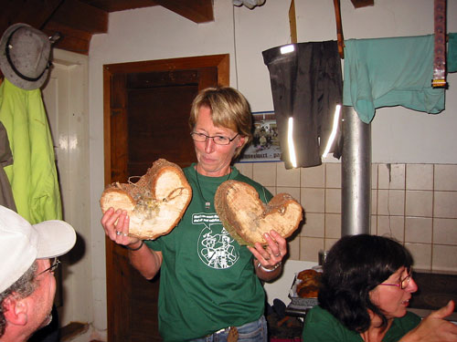 Herzförmige Baumscheiben, ein Geschenk an unsere Damen