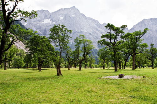 Großer Ahornboden