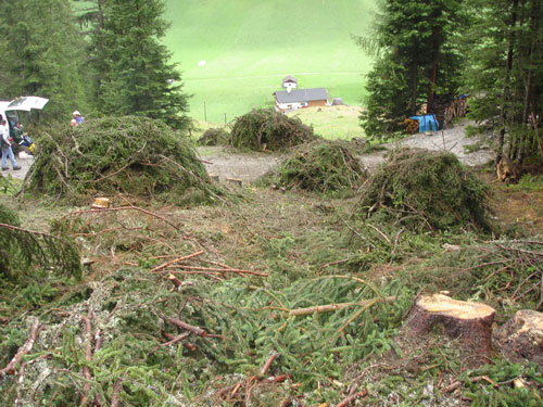 Zusammengetragene Zweige auf den Haufen.