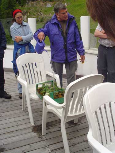 Carl beregnet den Schutzwald in der Gemüsesteige und zeigt uns die Auswirkungen.