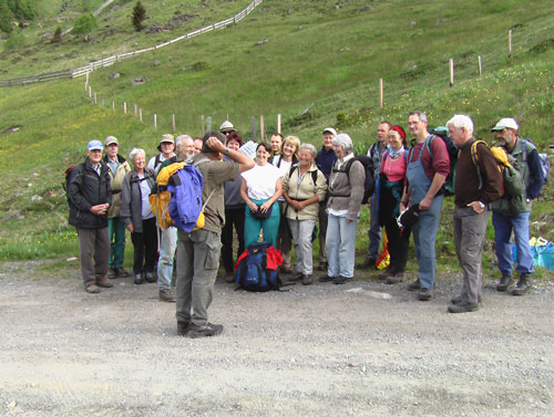 Die Bergwaldbrüder und -schwestern